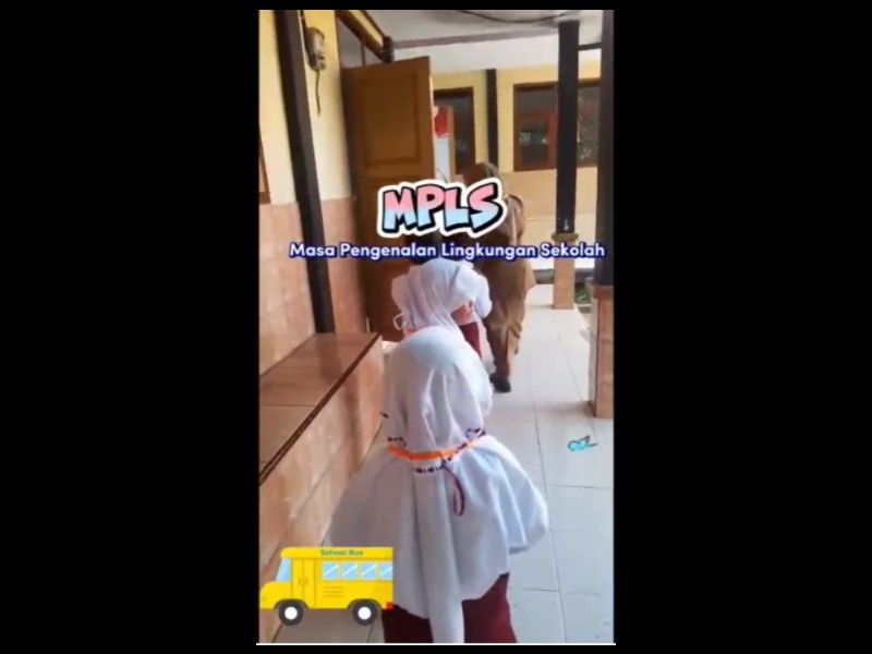 Dummy Data 6